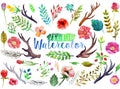 Vector watercolor aquarelle flowers and leaves. Royalty Free Stock Photo