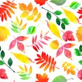 Vector watercolor autumn leaves collection in brught color. seamless pattern.