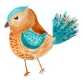 Vector watercolor bird