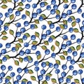 Vector Watercolor Blueberries branches seamless