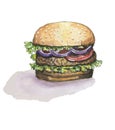 Vector watercolor burger on white background