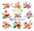 Vector watercolor buttonholes. Royalty Free Stock Photo