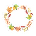 Vector watercolor circle frame with autumn leaves and berries Royalty Free Stock Photo