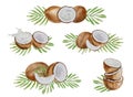 Vector and watercolor coconut compositions. Collages of coconuts, halves and parts, palm leaves, hand painted, white background