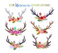 Vector watercolor deer horns