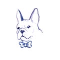 vector watercolor French Bulldog