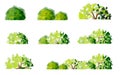 Vector watercolor green tree or forest side view isolated on white background for landscape