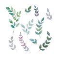 Vector watercolor illustrations. Botanical clipart. Set of Green leaves and branches. Floral Design elements. Perfect Royalty Free Stock Photo