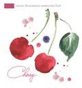 Vector watercolor image cherries with splashes