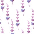 Vector watercolor lavender delicate bunch