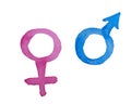 Vector and watercolor male and female sign. Venus and Mars Symbol. Pink and blue icon, hand painted on paper, white background Royalty Free Stock Photo