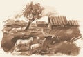 Vector watercolor monochrome drawing of village landscape with grazing sheep