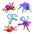 Vector watercolor octopus set