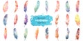Vector watercolor painted feathers clipart Royalty Free Stock Photo