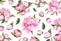 Vector watercolor peony flowers background