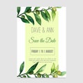 Vector watercolor save the date card in nature style with olive branch.