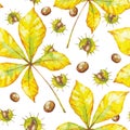 Vector watercolor seamless pattern with chestnut and autumn leaves on white background Royalty Free Stock Photo