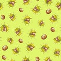 Vector watercolor seamless pattern with chestnut on green background