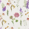 Vector watercolor seamless pattern with summer meadow flowers, wildflowers. Botanical floral greeting card