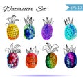 Vector watercolor Set with colorful rainbow pinapple