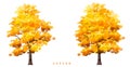 Vector watercolor set of ginkgo tree side view isolated on white background for landscape plan