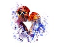 Watercolor silhouette of kissing people Royalty Free Stock Photo