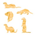 Vector watercolor silhouettes of a ferret