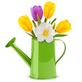 Vector Watering Can with Tulips