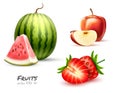 Vector watermelon apple strawberry fruit slice set Royalty Free Stock Photo