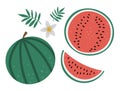 Vector watermelon clip art. Jungle fruit illustration. Hand drawn flat exotic plants isolated on white background. Bright childish