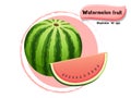 Vector Watermelon fruit isolated on color background,illustrator 10 eps Royalty Free Stock Photo