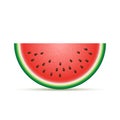 Vector watermelon Illustration