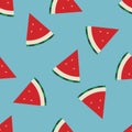 Vector watermelon seamless background pattern Royalty Free Stock Photo