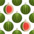 Vector watermelon seamless pattern. Whole and cutted watermelon on white background. Colorful vector illustration gradient fill in
