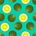 Vector watermelon seamless pattern. Whole and half watermelon on turquoise background. Colorful vector illustration gradient fill Royalty Free Stock Photo