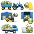 Vector Watermelon Shipping Icons