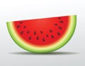 Vector watermelon slice. Isolated Royalty Free Stock Photo