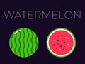 Vector of watermelon and sliced half of watermelon on dark background