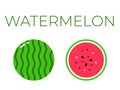 Vector of watermelon and sliced half of watermelon on white background