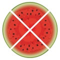 vector watermelon slices