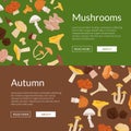 Vector web banners illustration with cartoon mushrooms Royalty Free Stock Photo