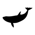 Vector whale black silhouette isolated on white Royalty Free Stock Photo