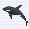 Vector whale illustration marine mammal north surface deep humpback ocean marine mammal.