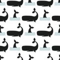 Vector whale illustration seamless pattern humpback ocean marine mammal wildlife aquatic animal character. Royalty Free Stock Photo