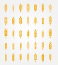 Vector wheat ears icons set Royalty Free Stock Photo