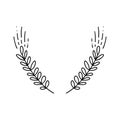 Vector of wheat ears. Simple monoline botanical hand drawn illustration of spikelets isolated on white background in doodle style