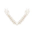 Vector of wheat ears. Simple monoline botanical hand drawn illustration of spikelets isolated on white background in doodle style