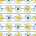 Vector white background daisy flowers, wild flowers and butterflies, insects. Seamless pattern background Royalty Free Stock Photo