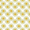 Vector white background daisy flowers, wild flowers and butterflies, insects. Seamless pattern background Royalty Free Stock Photo