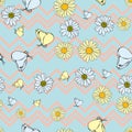 Vector white background daisy flowers, wild flowers and butterflies, insects. Seamless pattern background Royalty Free Stock Photo